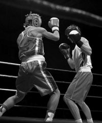 boxing-for-web
