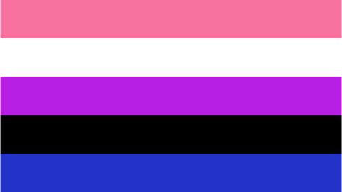 DMU - Genderfluid Pride Flag