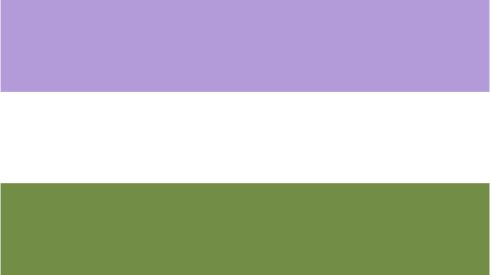 DMU - Genderqueer Pride Flag