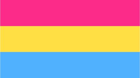 DMU - Pansexual Pride Flag