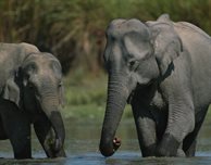 Life-changing solar power project nominated for national award