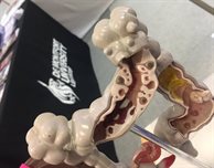 Dozens referred to GP after DMU volunteers help make people aware of bowel cancer symptoms