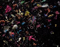 Photography graduate achieves her dream of working with the RPS