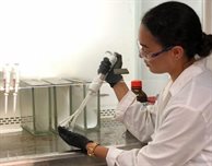 A placement in paradise