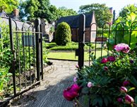 New herbal medicine project sees Trinity Herb Garden go back to its roots