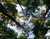 Researcher working with environmental TV network to make archive available digitally