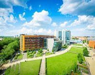 Third Sector Faces Cliff Edge in Northern Ireland, DMU Report Finds