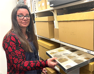 Red lions of the past, blue butterflies of the future