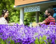 Your DMU Safety daily update: Have you read our shared commitment to keep each other safe?