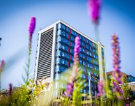 DMU Spring Back is coming!