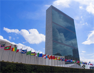 Represent DMU at the United Nations in New York