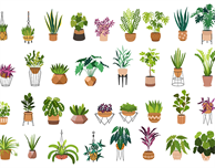 DMU houseplant sale is back!