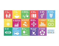 Sustainability Advocates Programme