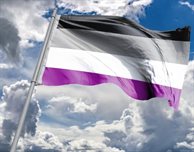International Asexuality Day