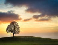 Help shape the future of Green Skills in UK higher education