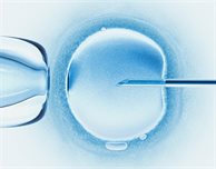 Bill urges Government to review egg freezing rules