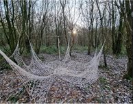 Architecture students partner with National Forest for installation at Swannymote Wood