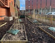 Dig in! Take part in special planting events to celebrate the new home for DMU's staff and student allotment