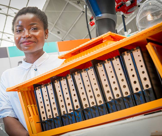 Bee house - For story