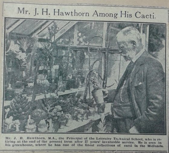 Hawthorn among his cacti