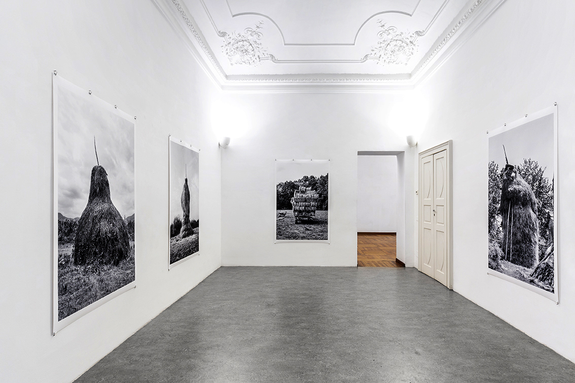 installation shot of gallery Alberto Peola