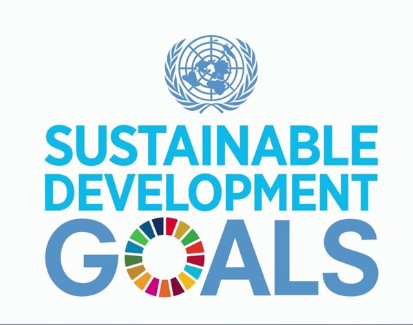 international research center of big data for sustainable development goals