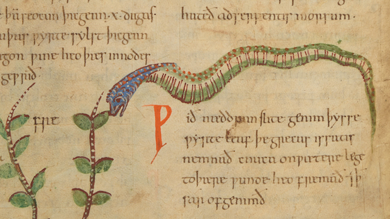 British Library herbal 1