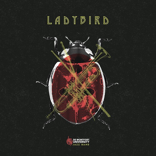 LADYBIRD cover main