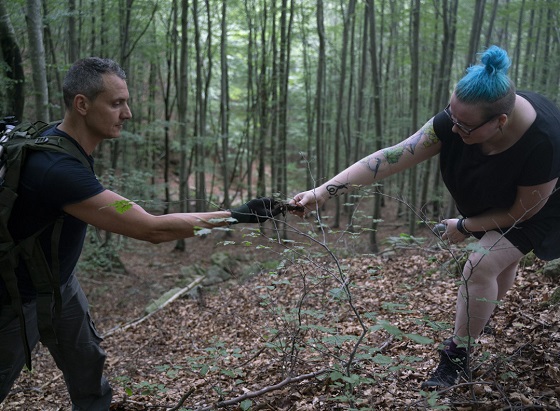 LOZ - more crash site