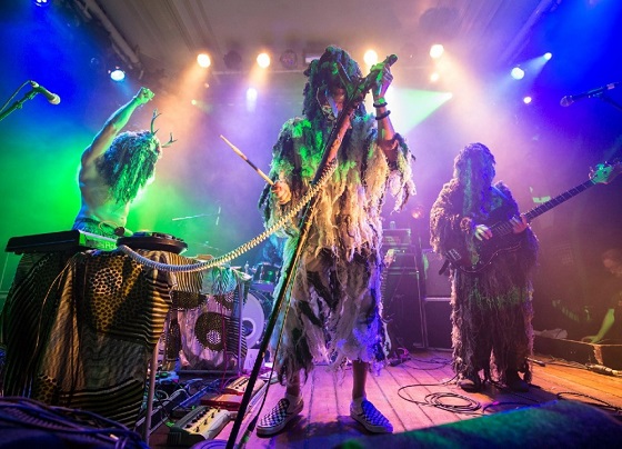 FEST - SNAPPED ANKLES