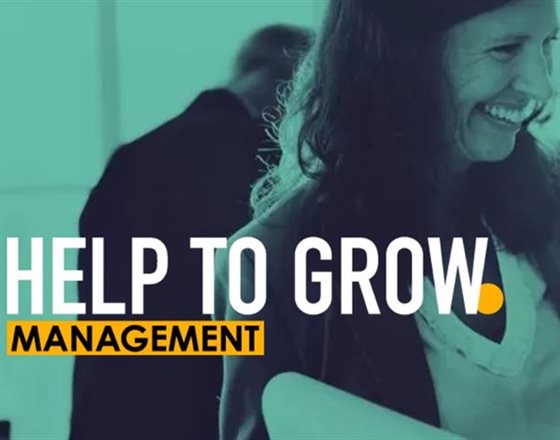 Help to Grow management