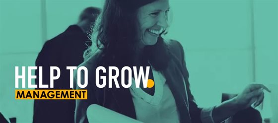 Help to Grow management