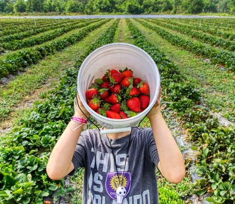 mick-haupt-oOQsLhnMHKY-unsplash