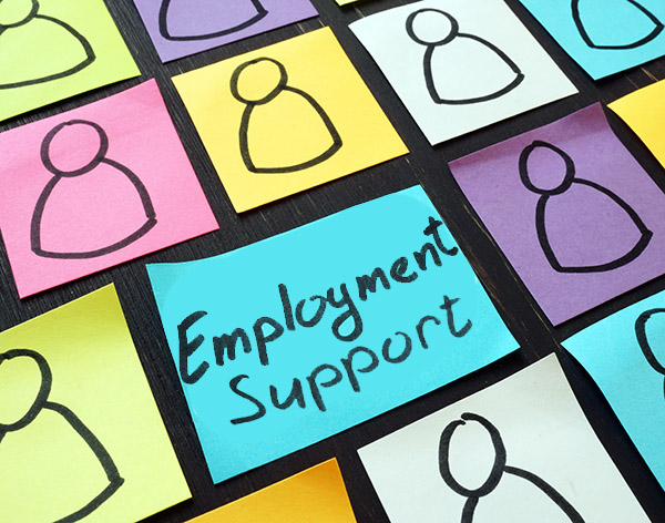 New research to see if vital third-sector organisations can survive ...