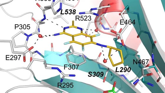 Chagas chemical inset