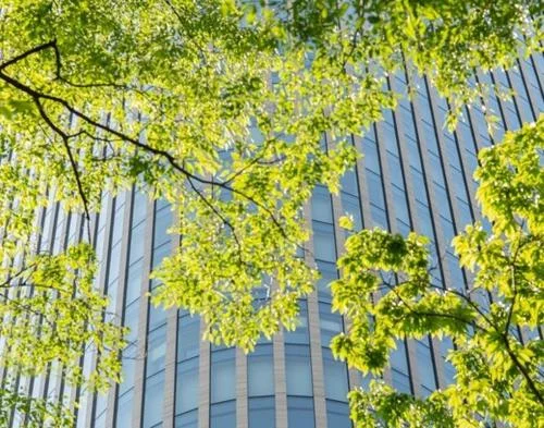 New research asks whether cities are measuring the right things in the race to net zero