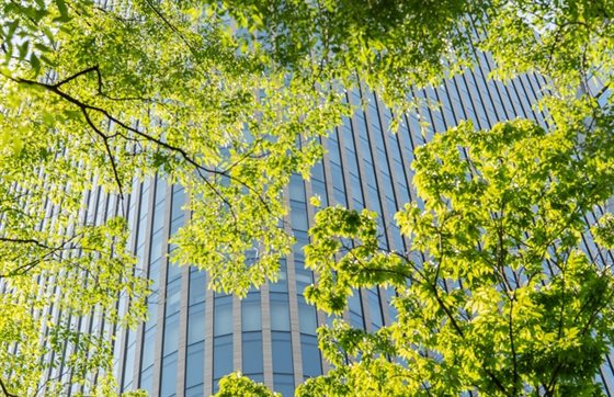 THUMB green cities