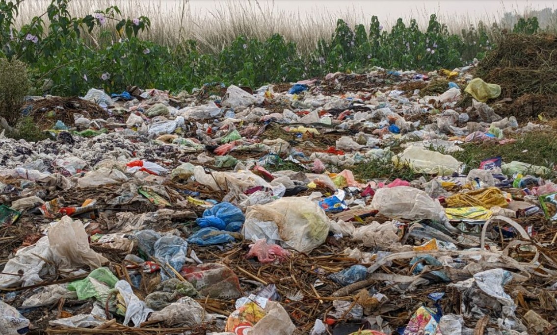 waste in pakistan