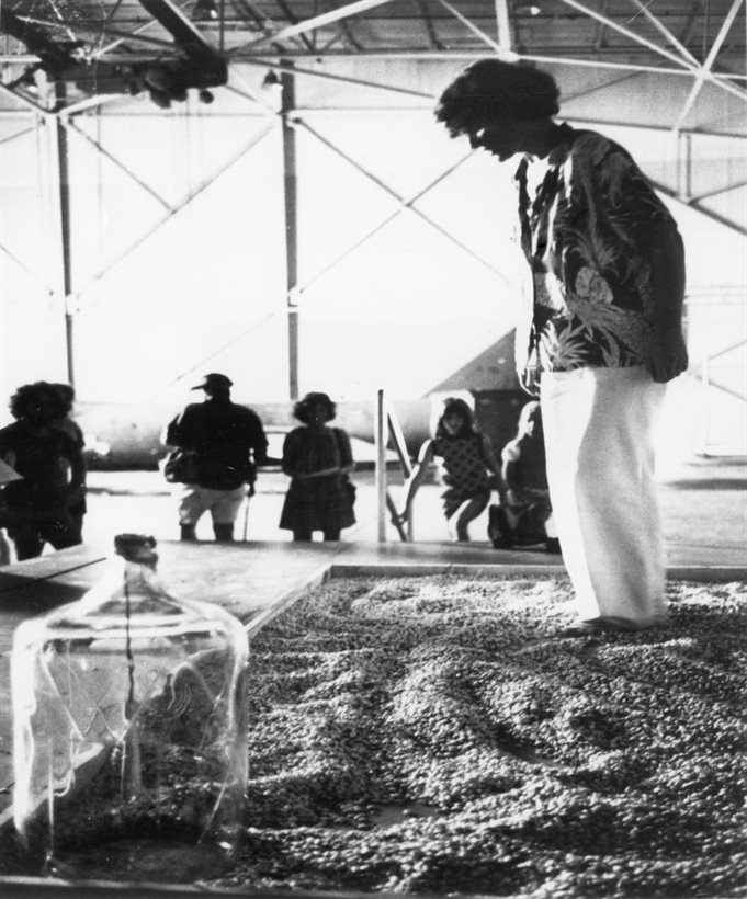 alison fluxus beangarden1