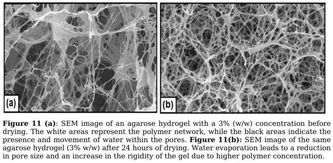 hydrogel grab