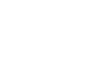 Hyosung-Logo