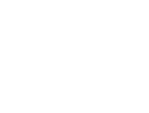 stretchline-logo