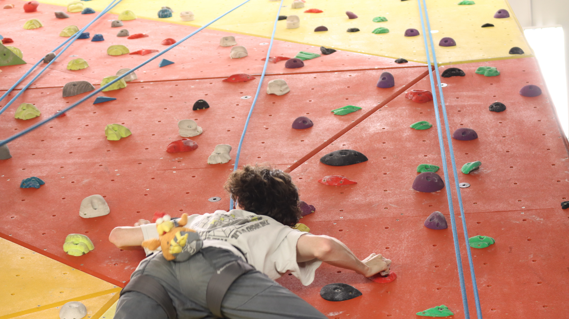 Student climbing an indoor rock wall with colorful holds and a safety harness.