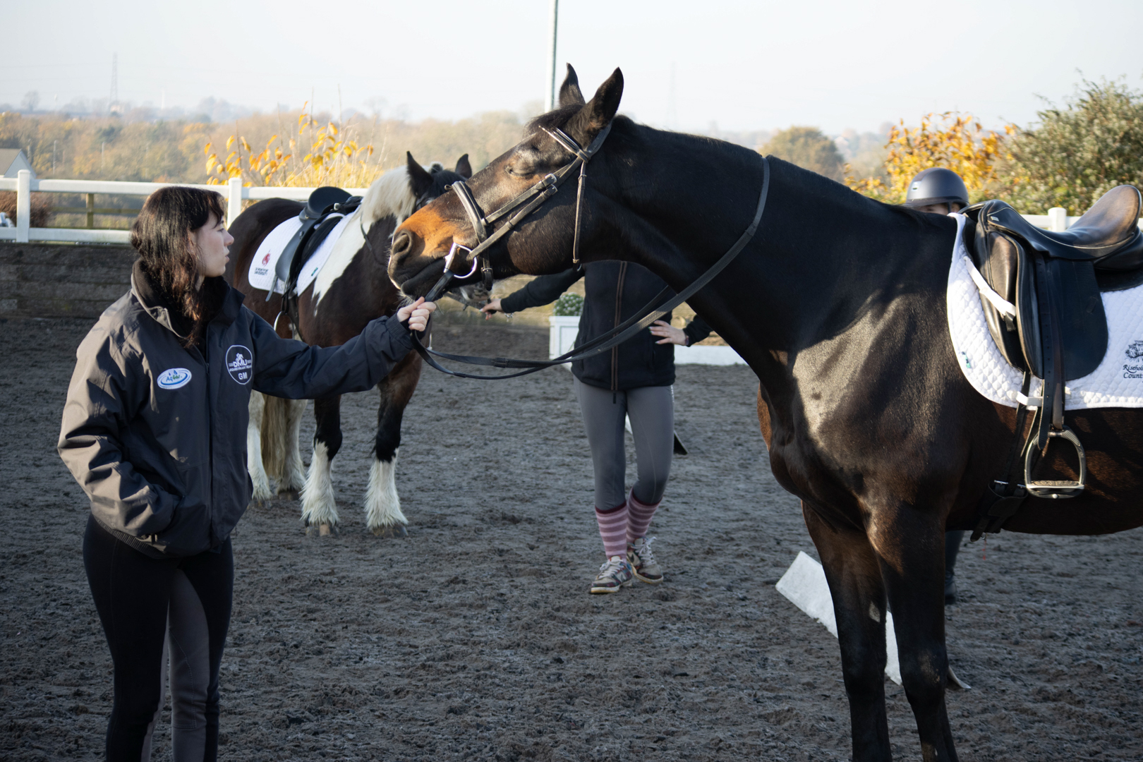 Person standing next to a saddled horse in an outdoor area, with another horse and person in the background.