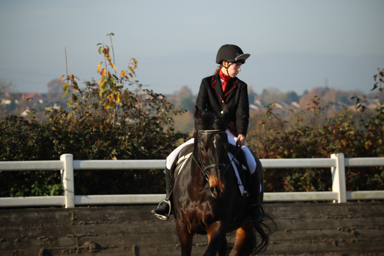 Person in equestrian attire riding a horse outdoors near a white fence with trees in the background.