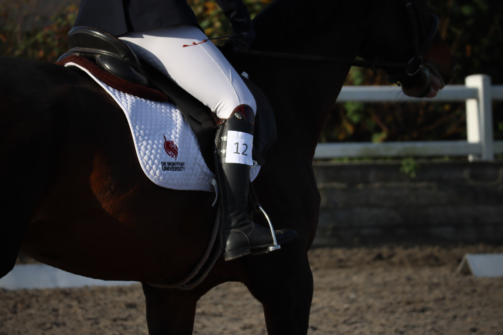A close-up of a saddled horse standing outdoors near a fence.