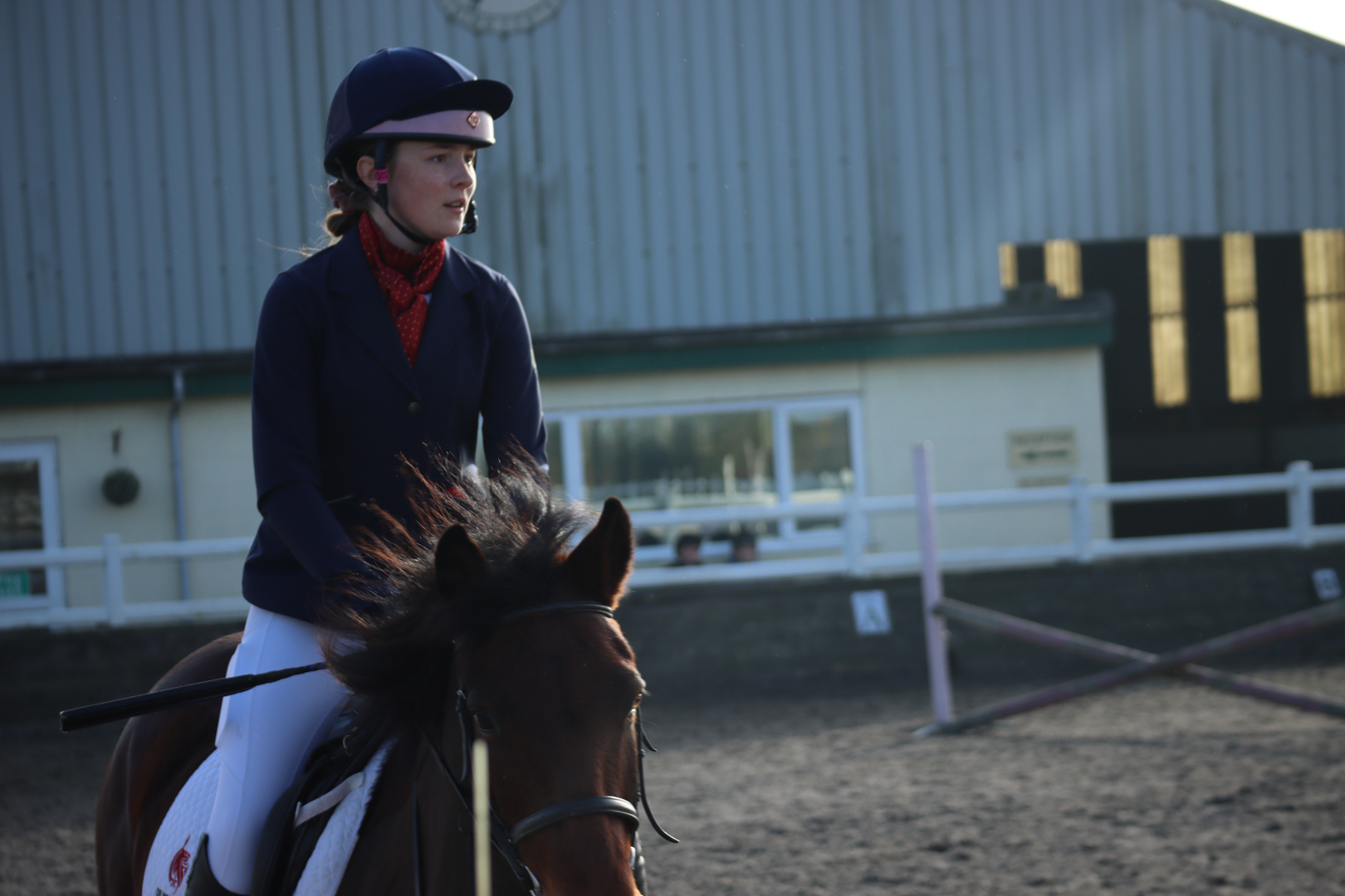 Person wearing helmet and riding gear on a horse in an outdoor riding arena.