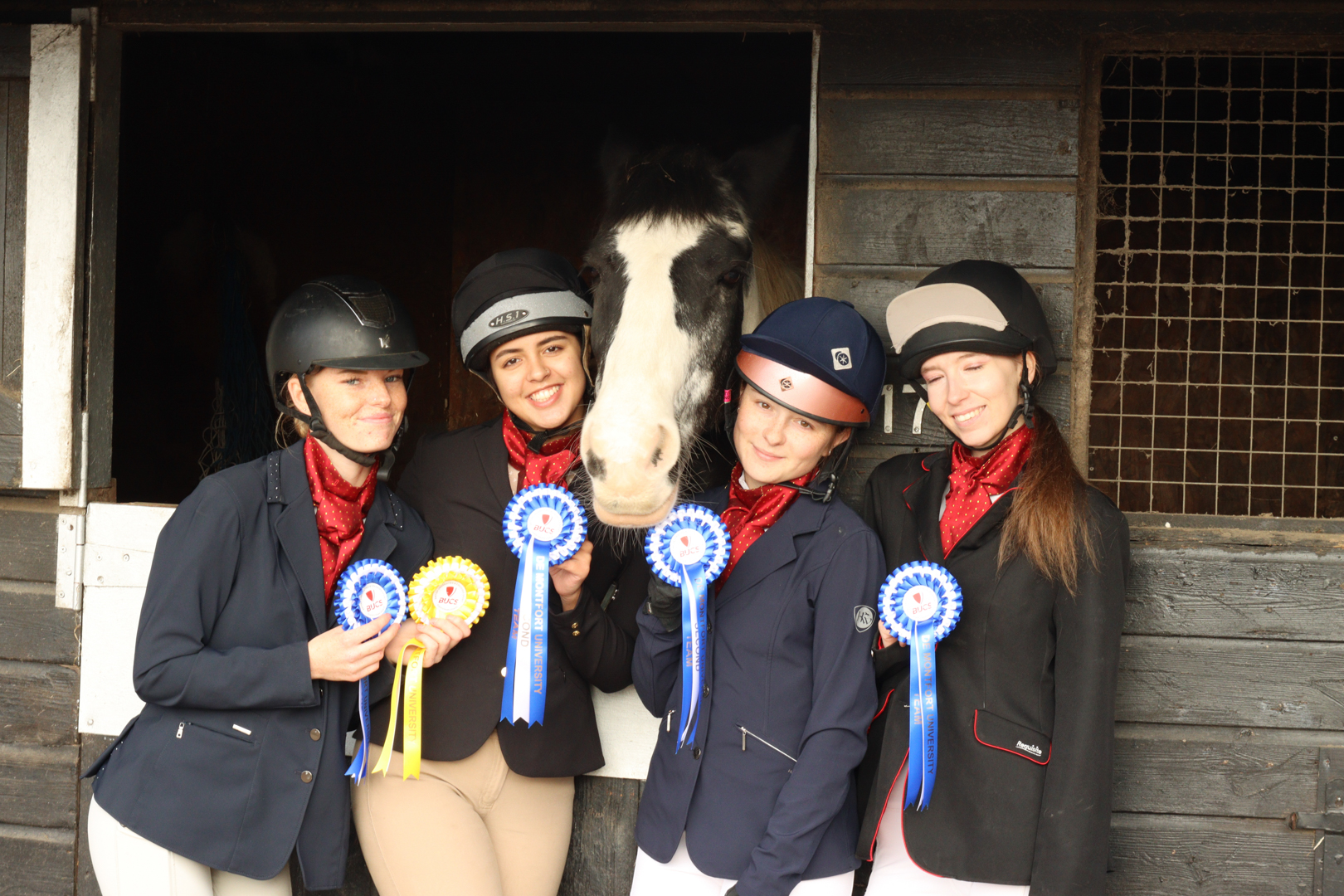 Four equestrians in riding attire holding award ribbons stand in front of a horse in a stable.