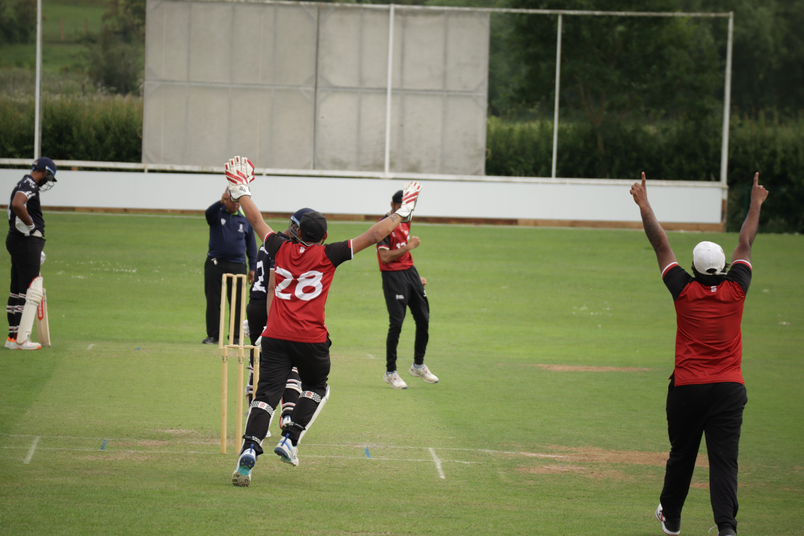 Cricket players in red and black uniforms appeal to the umpire during a match on a grassy field.