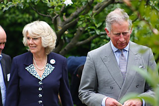 charles and camilla main